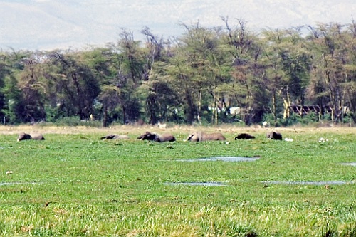 Kenia (175)
